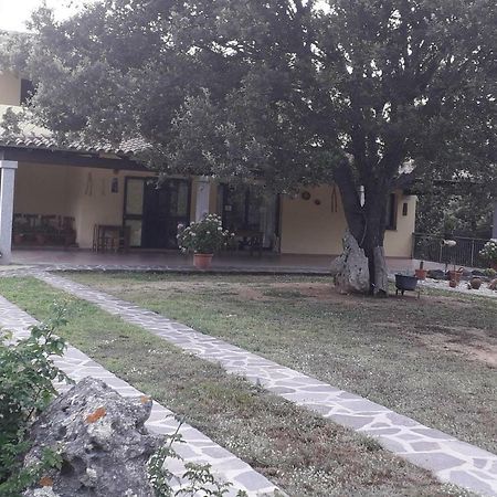 Agriturismo La Tuva Villa Padru Esterno foto
