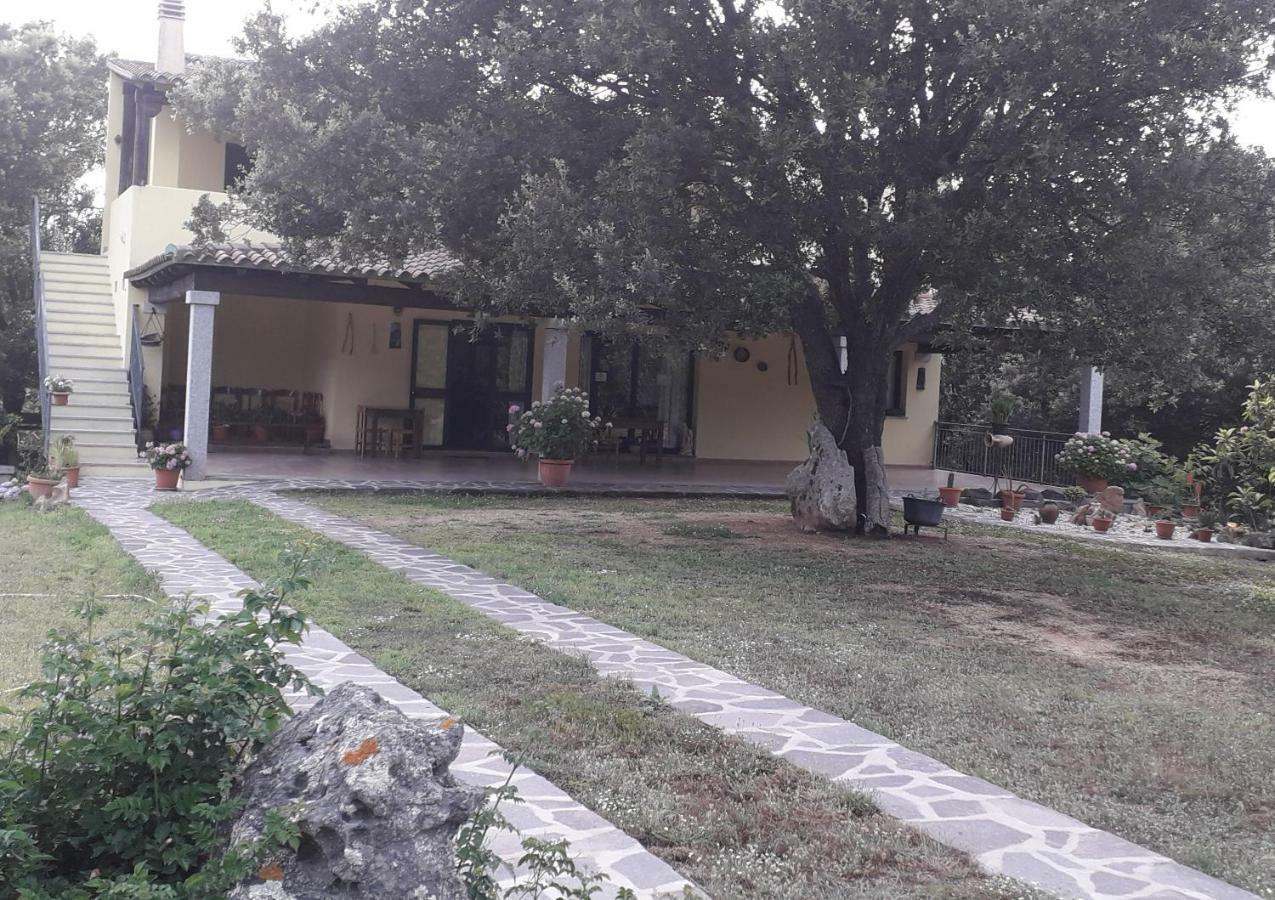 Agriturismo La Tuva Villa Padru Esterno foto