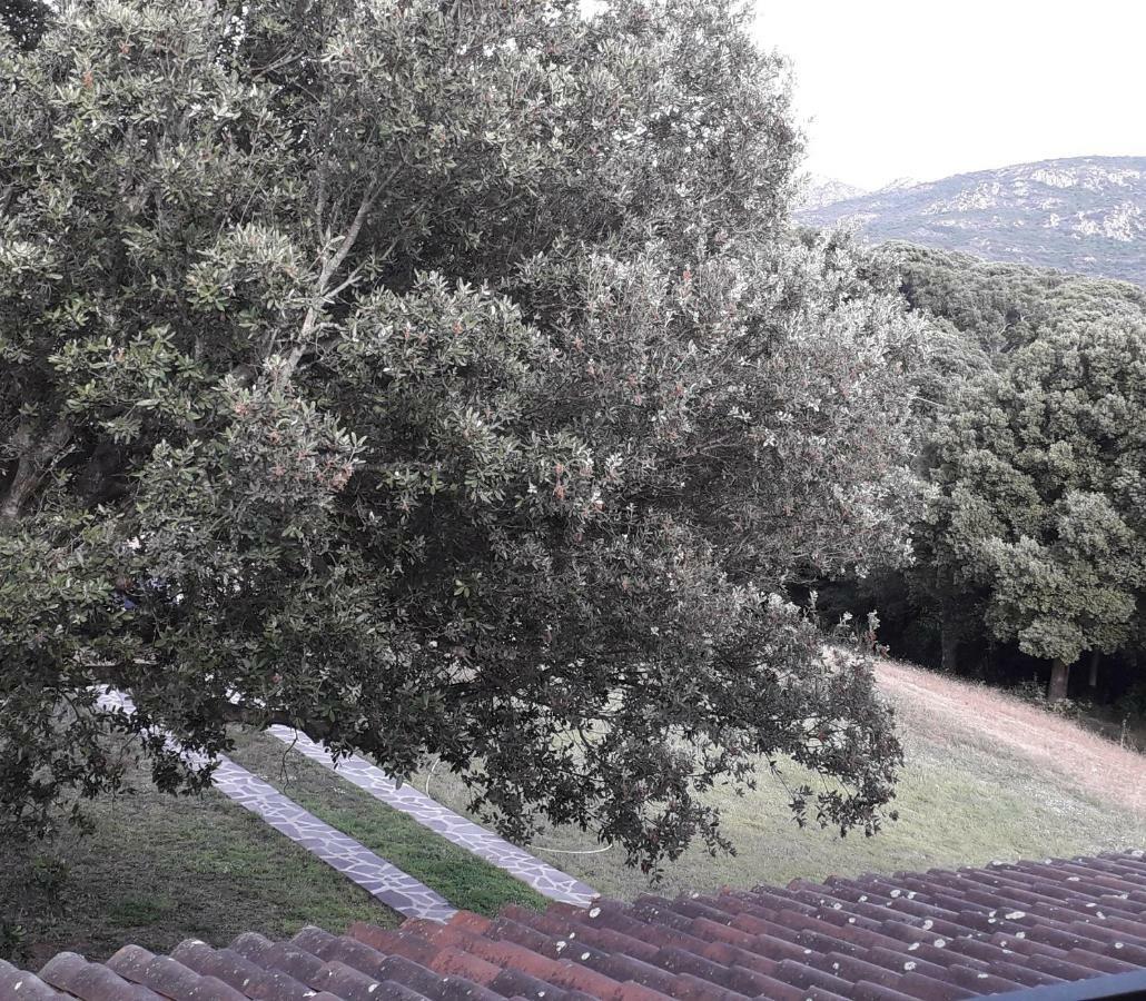 Agriturismo La Tuva Villa Padru Esterno foto